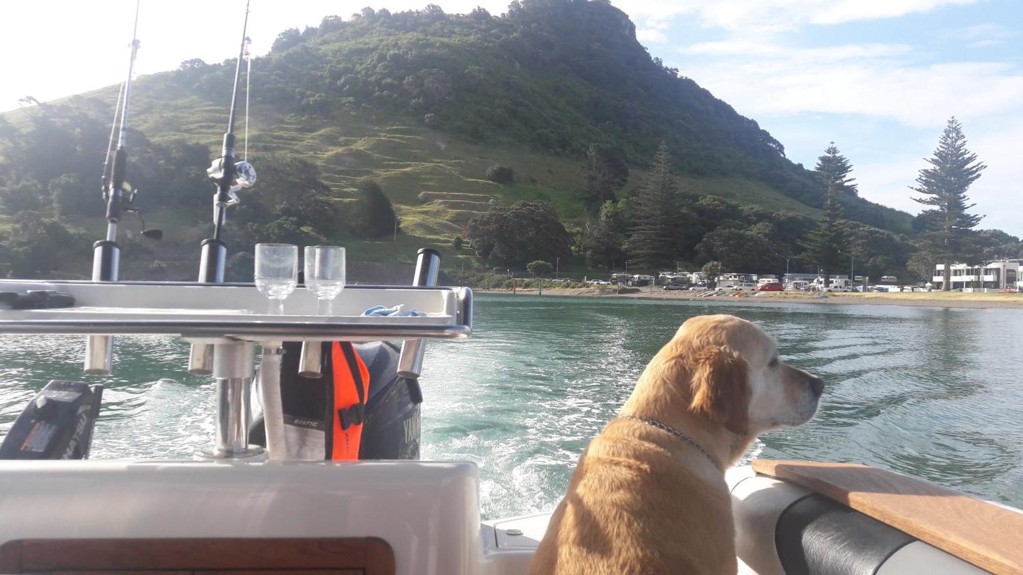 Appartamento Charm On Commons, Mauao Mount Maunganui Esterno foto